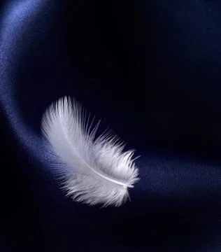 Feather with satin Stock Photos
