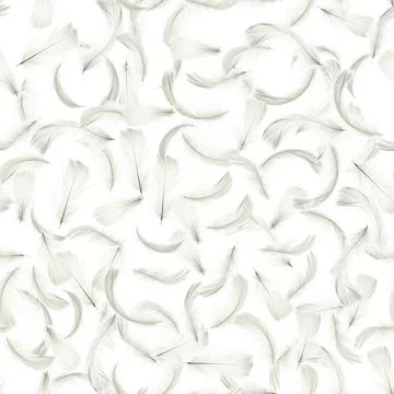 Feather seamless pattern background. Nature bird feather texture closeup fall Stock Photos