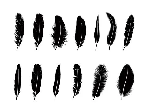 Feather set.  Different  birds feathers silhouette icons Stock Illustration