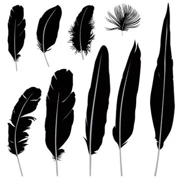 Feather set. Different wild birds feather silhouette sign Stock Illustration