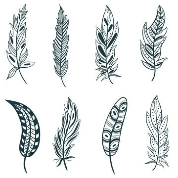 Feather set hand graphics, vector illustration. Illustrazione stock