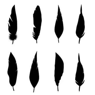 Feather set. Illustrazione stock