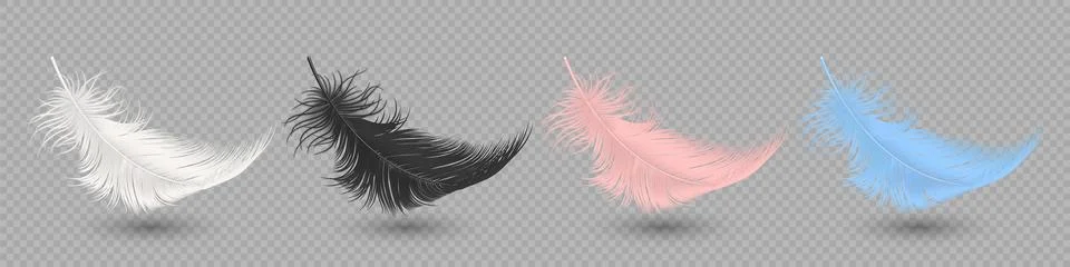 Feather Set in White, Black, Pink and Blue Colors, Vector Illustration. Sof.. Stock Illustration