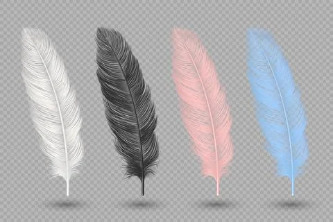 Feather Set in White, Black, Pink and Blue Colors, Vector Illustration. Soft  Stock Illustration