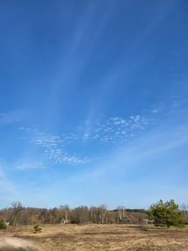 Feather-Shaped Clouds in Clear Blue Sky Stock Photos