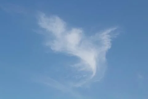 Feather shaped white clouds in the blue sky with copy space. Foto stock