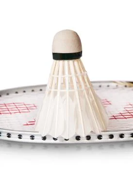 Feather shuttlecocks on the racket standing Stock Photos