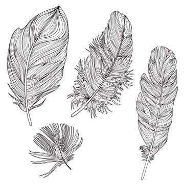 Feather sign isolated set. Different birds doodle feathers Illustrazione stock