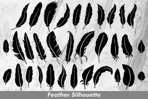 Feather Silhouette Stock Illustration