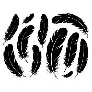 Feather Silhouette Vector Set Stock Illustration