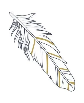 Feather sketch drawn イラスト素材