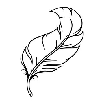 Feather sketch. Feather for decoration or writing. Vector illustration Stock Illustration