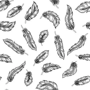 Feather sketch pattern. Seamless print with hand drawn bird plumage, retro fe Stock Illustration