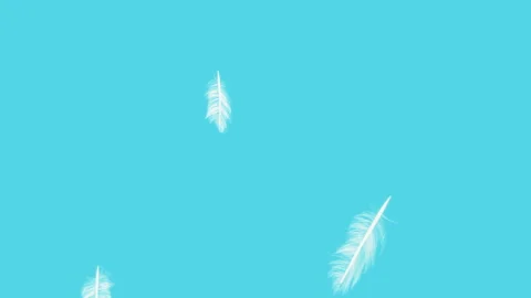 Feather Slow Fall. Stock Footage 240375353