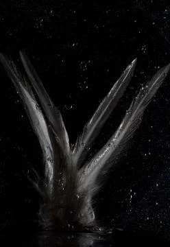 Feather in Space bubbles Stock-Fotos