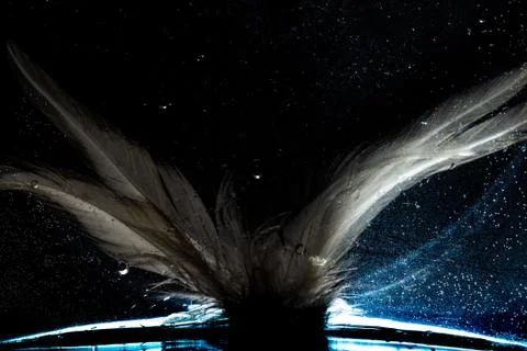 Feather in Space on planet Stock-Fotos