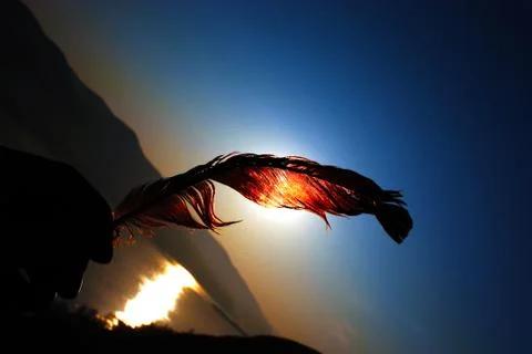 Feather at sunset Foto stock