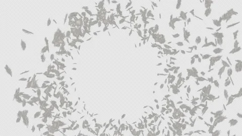 Feather  Swirl Burst Stock Footage 227697833