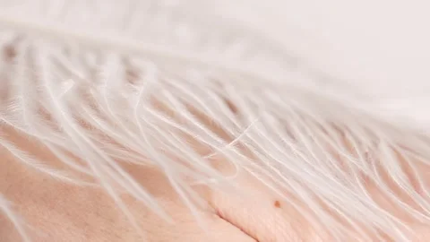 Feather touching skin of hand. A feather flutters, softness in motion. Stock Footage 299364104