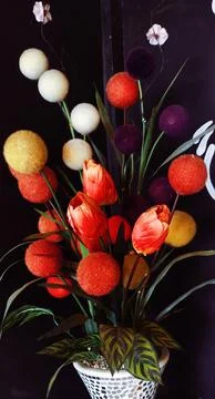 Feather Tulips Fotos de archivo
