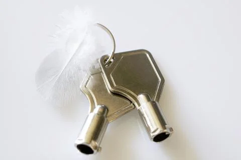 Feather an  two  key  on  a gray background Stock Photos