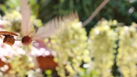 Feather vane. Stock Footage 9867356