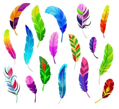 Feather vector fluffy feathering quil and colorful feathery birds plume Stock Illustration