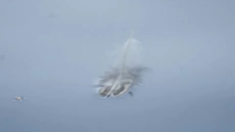 Feather on the water Stock Footage 236951043