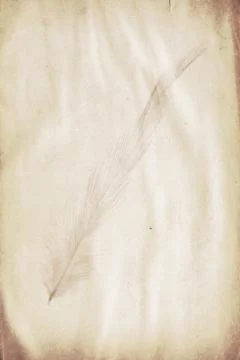 Feather watermark Foto stock