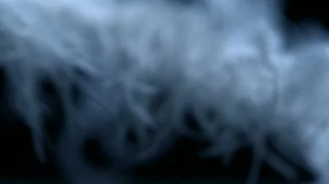 Feather in wind, Slow Motion Stock Footage 10862009