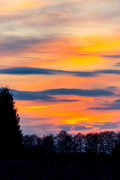 Feathered and layered clouds on a background of red evening sky Stock Photos