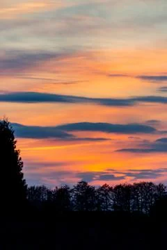 Feathered and layered clouds on a background of red evening sky Stock Photos