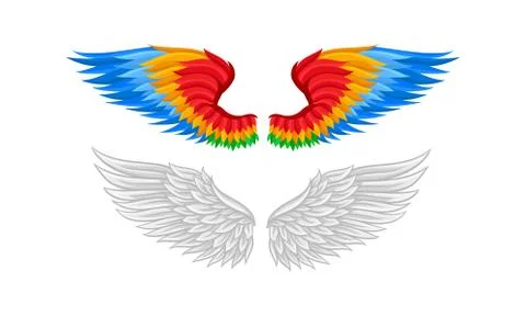 Feathered Wings of Different Flying Creature Vector Set Illustrazione stock