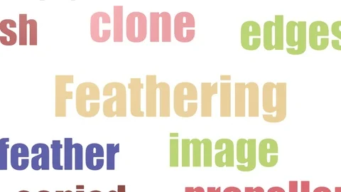 Feathering Tag Cloud Animated Isolated Stock Footage 103668086