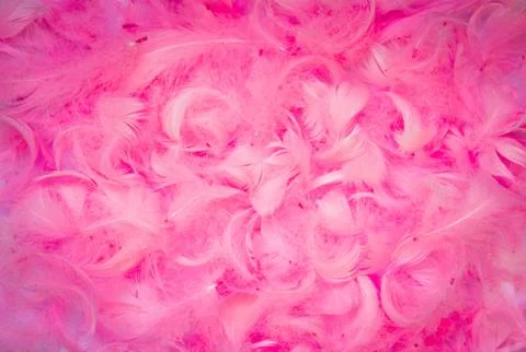 Feathers background Stock Photos