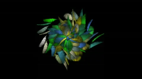 Feathers coloured spreading Stock Footage 682070