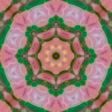 Feathers creating a very colorful pattern circular 스톡 사진