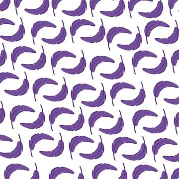 Feathers exotic pattern background Stock Illustration