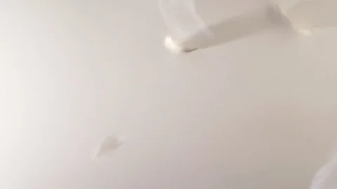 Feathers floating in the air in a soft light - seamless animation Stock Footage 76004404