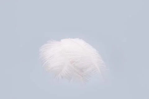 Feathers floating with copy space Stock Photos