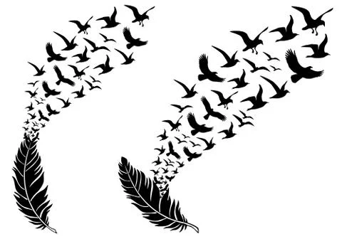 Feathers with flying birds, vector Stock Illustration