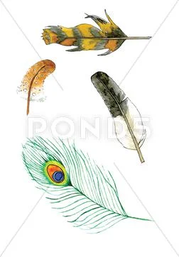 Feathers Stock Illustration