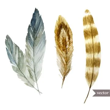Feathers Stock Illustration