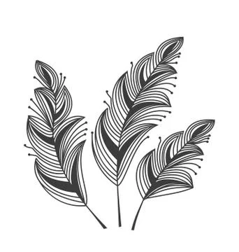 Feathers Stock Illustration