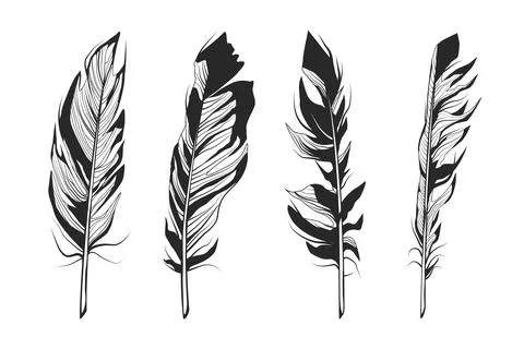 Feathers Stock Illustration