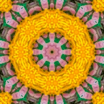 Feathers made into a circle shape with points Stock Photos