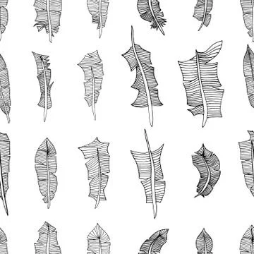 Feathers pattern background Illustrazione stock