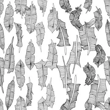 Feathers pattern background Stock Illustration