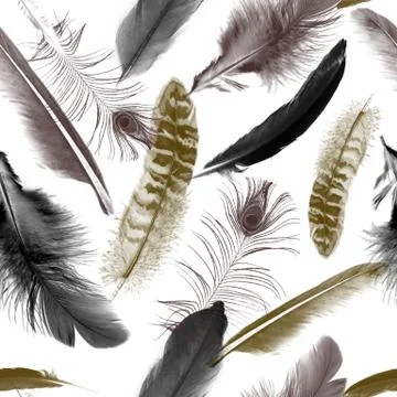 Feathers pattern.Seamless animal texture. Natural background.Birds feather Stock Illustration