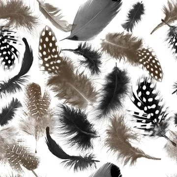 Feathers pattern.Seamless animal texture.Natural background.Birds feather Stock Illustration